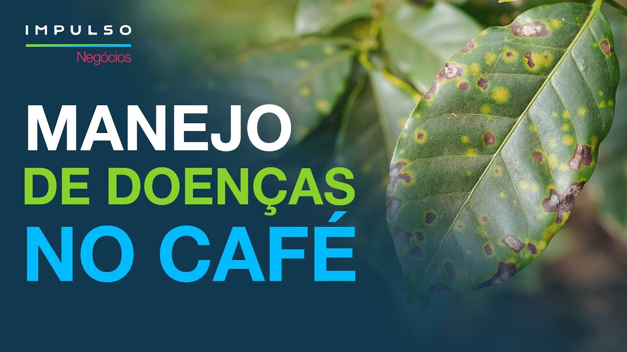 Manejo de doenças foliares no café | Impulso Negócios EP. 134