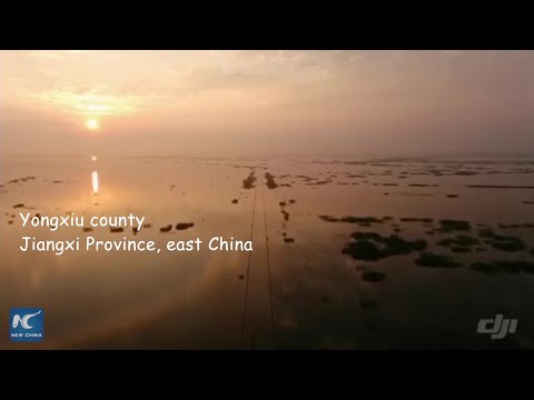 A Chinese road to reflect upon