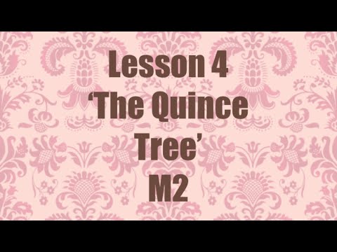 Lição 4 da 8ª série A árvore do marmelo