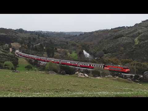 Comboio n.º 13538/9 (Circuito Ferroviário das Beiras - APAC) - Ponte Nova