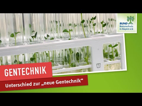 Gentechnik Teil 4:  Neue Gentechnik