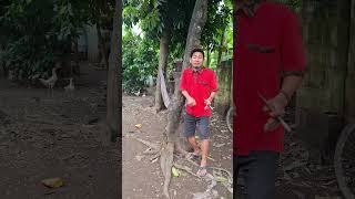 Download lagu Mau ketawa takut dosa video lucu bikin ngakak hiburan warga 62 funny videos #funny #shorts #viral mp3 Download lagu Mau ketawa takut dosa video lucu bikin ngakak hiburan warga 62 funny videos #funny #shorts #viral mp3