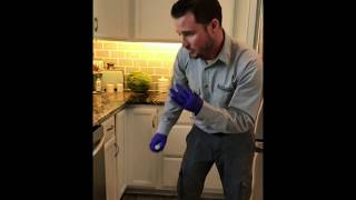How To Get Rid Of CockRoaches In Your Kitchen In Orlando, Florida