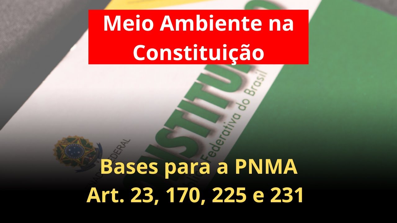 Meio Ambiente e Povos Originários na Constituição Federal:  Artigos 23, 170, 225 e 231