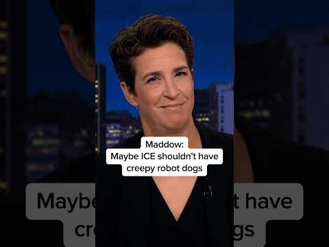 Maddow: Maybe ICE shouldn't have creepy robot dogs
