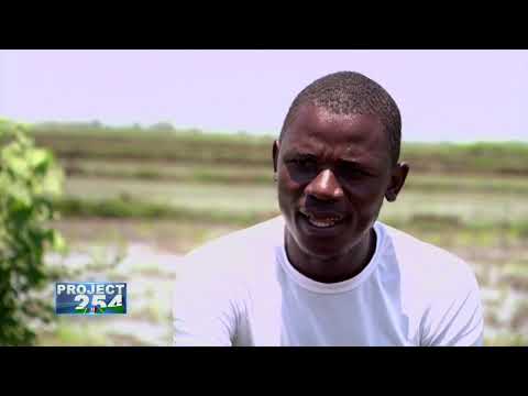 Project 254 - Expansion of Ahero Irrigation Scheme