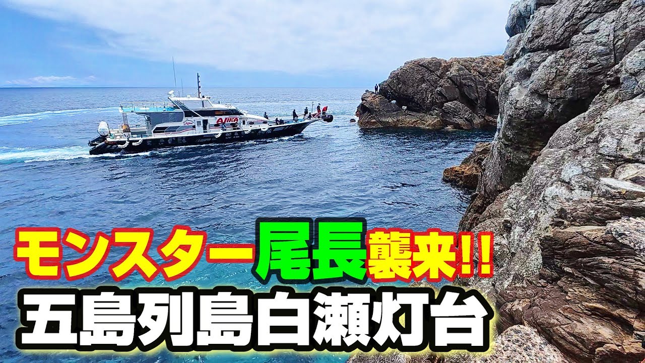 【梅雨のモンスター尾長を狙え！】五島列島白瀬灯台 2025年6月！