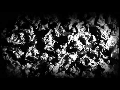 DELS - Black Salad // Not Today