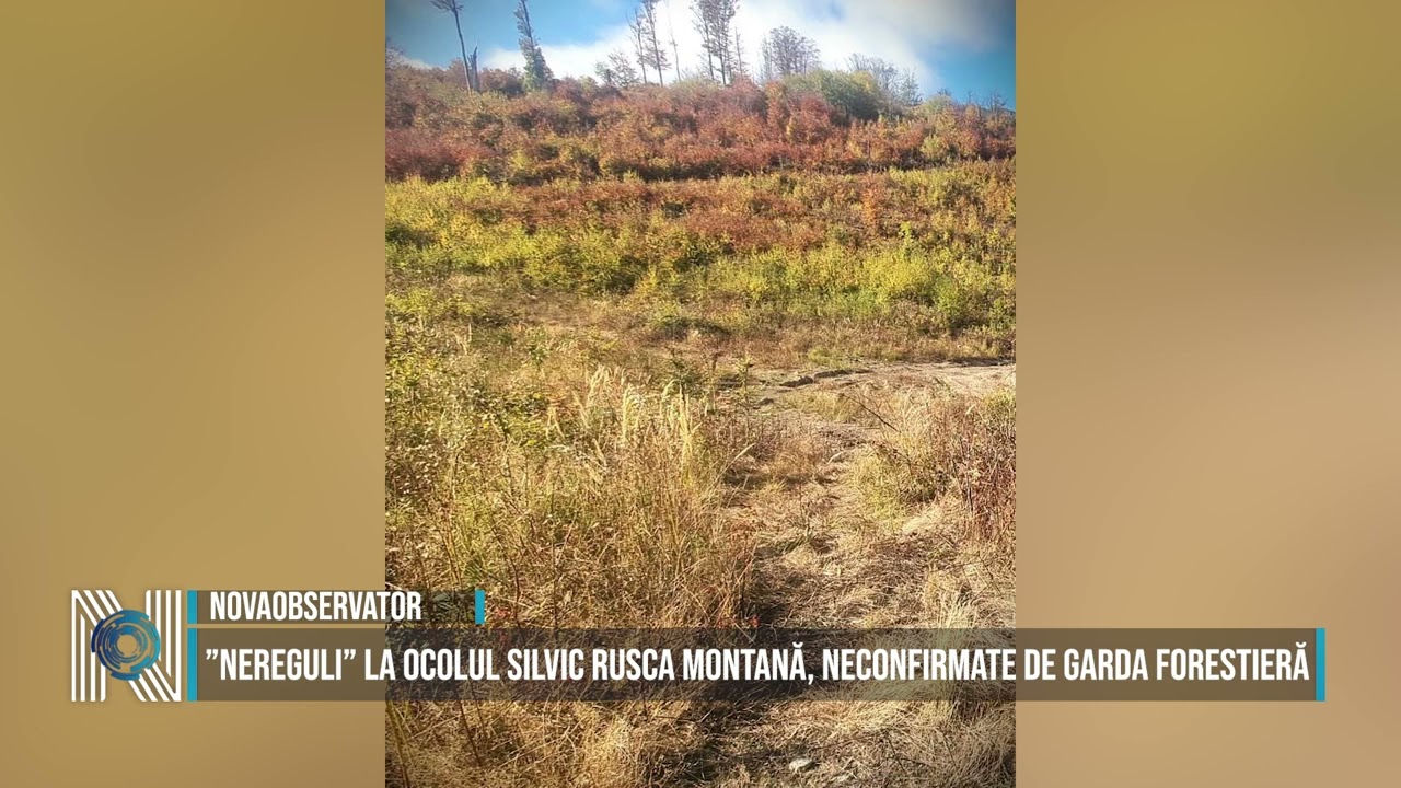 ”Nereguli” la Ocolul Silvic Rusca Montană, neconfirmate de Garda Forestieră