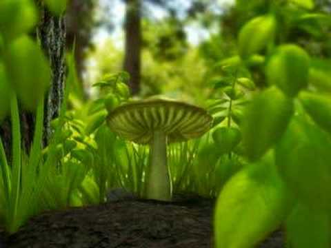 Astral Projection - Kabalah