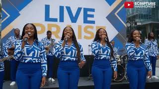 We Shall Meet on That Beautiful Shore 🙏 A Soulful Reggae Gospel Worship Hymn
