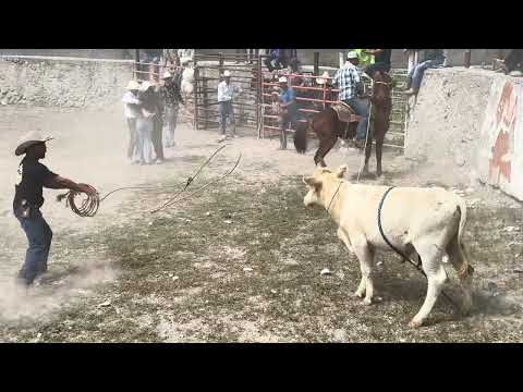 Montas especiales, Llano del Carmen San Luis Potosí 