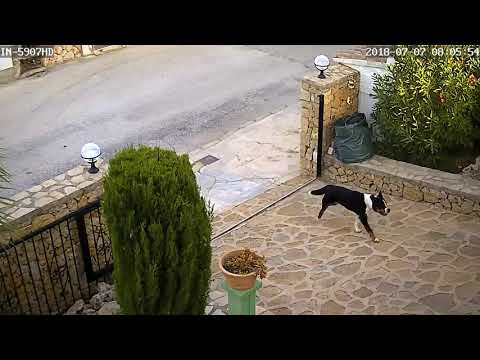 Alfi Tor Garage 2018 07