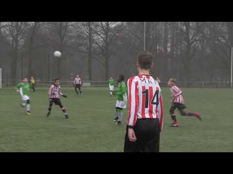 Jonathan O12 1   Hollandia O12 1