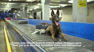 Cutest staff of Tallinn Airport