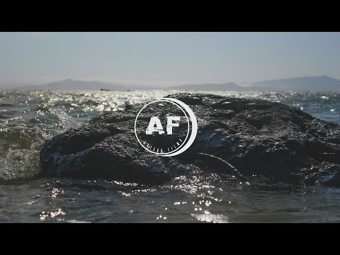 QuisDope Music Video