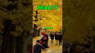 Download lagu Places in Japan you won't believe really exists✈️ mp3 Download lagu Places in Japan you won't believe really exists✈️ mp3