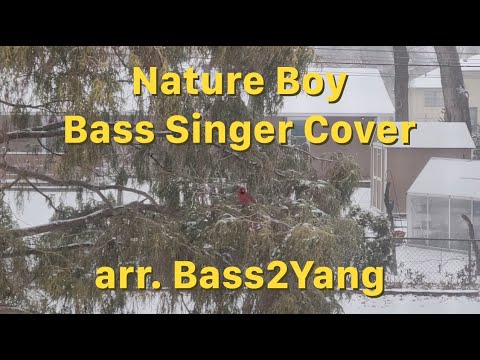 Nature Boy | Bass Singer Cover | Nat King Cole | eden ahbez | Bass2Yang