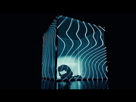 Minuit Machine - Lion in a Cage (Official Video)