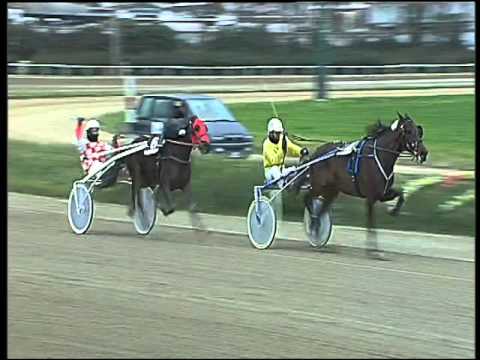 Trotto 07/02/2016 - 2° corsa