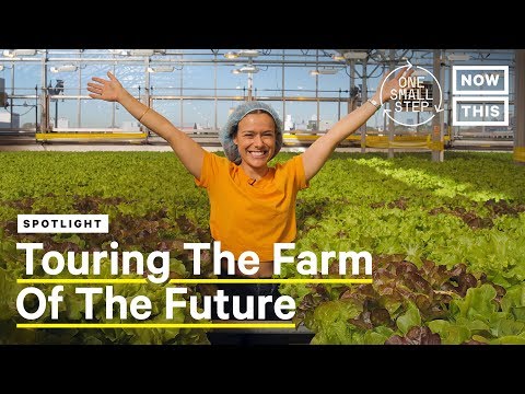 Meet Viraj Puri, CEO and Co-Founder of Gotham Greens | One Small Step
