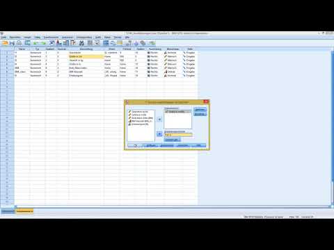SPSS - Mittelwert t-Test (unabhängige Gruppen)