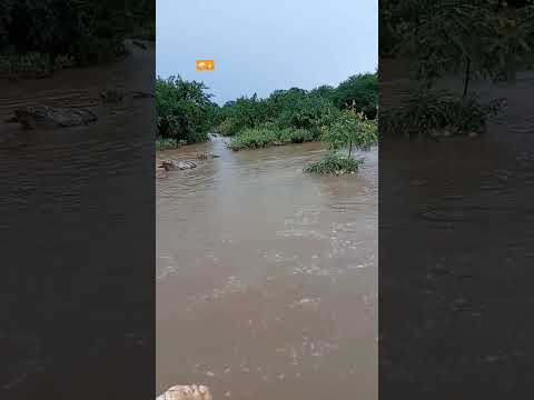 Muita Chuva no sertão do Piauí.      Dom Inocêncio Piauí