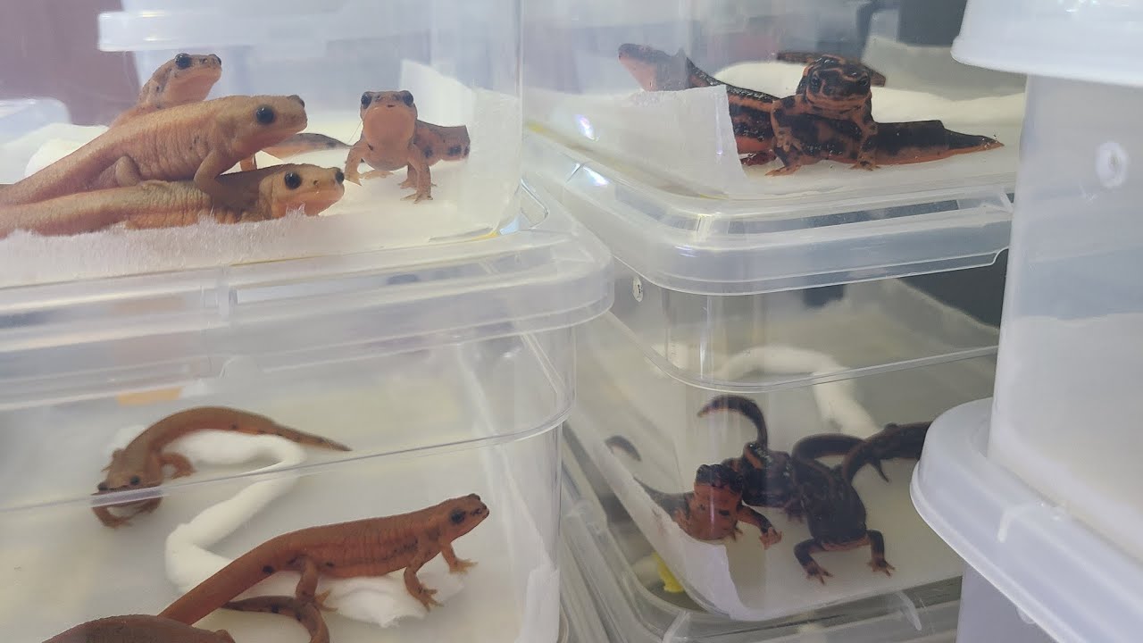 【LIVE】2025.6.16/ おひさし