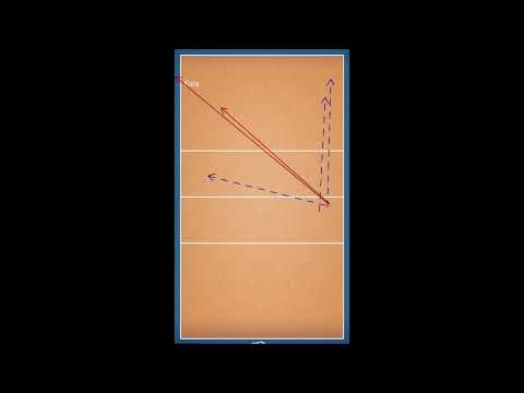 Labourer/ Schulz(GER) S.out x Placette /Richard (FRA)