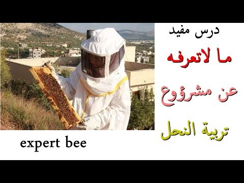 , title : 'ما لاتعرفه عن مشروع تربية النحل'