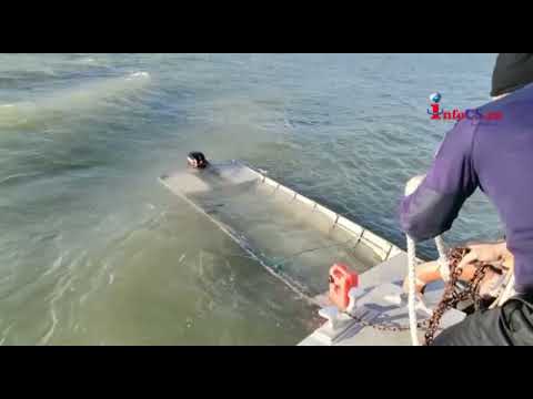 Barbat salvat din Dunare la Moldova Veche