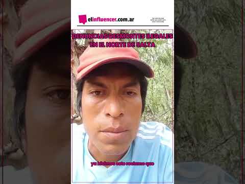 Denuncian desmontes ilegales en Salta