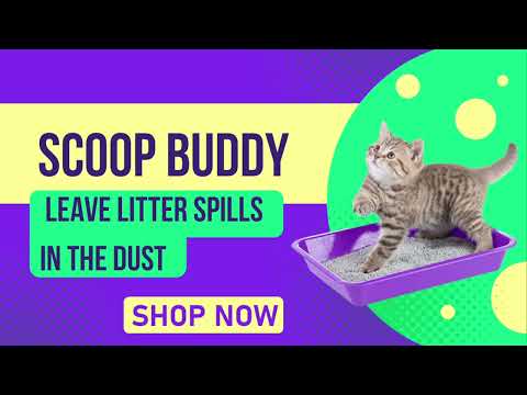 🛑 STOP 🛑 Spilling Cat Litter When you Scoop!