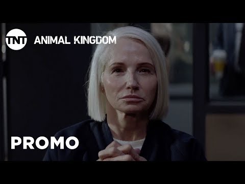 Animal Kingdom Season 4 (Announcement Teaser)