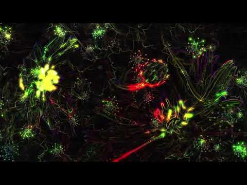 Patrick Ravage - Melodic Transcendence #066 - Progressive House | Melodic Techno | Deep House