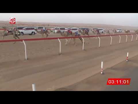 ش 4 (ممتاز) لـ سيف جعفر بن مرخان الكتبي 6:32 ، شارة الشيخ طحنون 2026/8/22 حقايق الجبيب