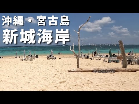 [Okinawa/Miyakojima] Primeira vez em Okinawa! Quando fui fazer snorkeling em Miyakojima/Shinshiro Kaigan, uma praia onde se pode nadar com tartarugas marinhas, a taxa de encontro foi de 100%...! [Introdução ao local turístico] [Viagem de casal]
