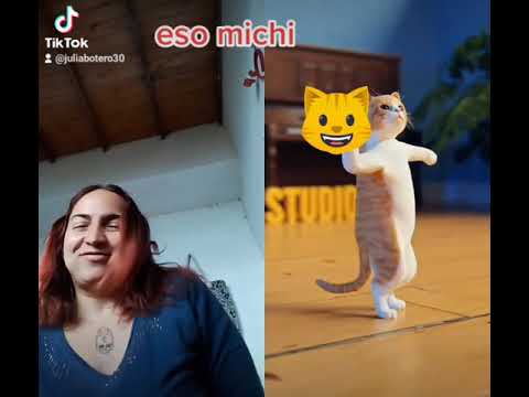 los guerreros del cielo 😇eso michi2022