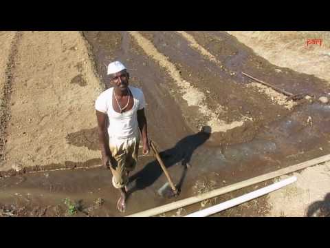 Embedded video