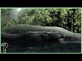 DUUH MAAJABU JOKA KUBWA ZAIDI DUNIANI NI ZAIDI YA ANACONDA ANAMEZA MAMBA MZIMA