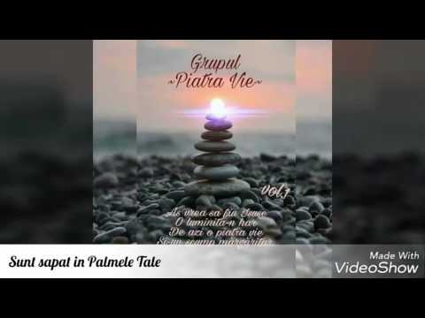 Grupul Piatra Vie - Sunt sapat in Palmele Tale 2017
