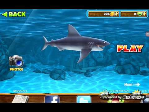 Steam Community :: Video :: Shark evolution fun
