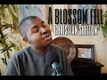 A Blossom Fell (LIVE) - Christian Shelton