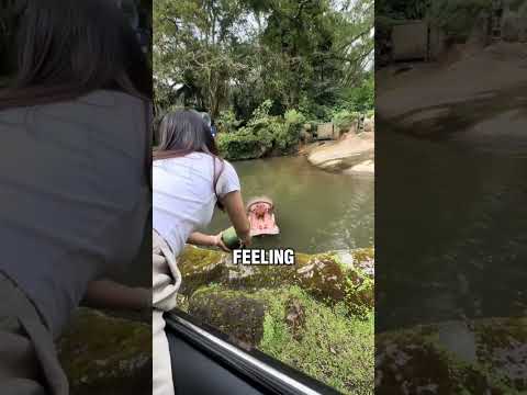 The hippo couldn't get the watermelon 🥺❤️