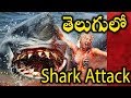 Jersey Shore Shark Attack Telugu Dubbing Movie