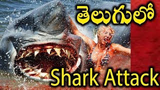 Jersey Shore Shark Attack Telugu dubbing movie