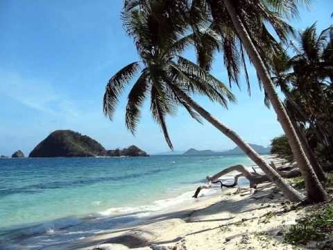 Hamza Robertson - Your Beauty With [Lyrics]