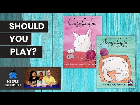 Cat Lady and Box of Treats Expansion - Should You Play? A Board Game Review