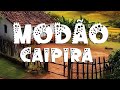 VIOLA SERTANEJA Só As Melhores Da Viola Caipira Sertanejo Raiz De Verdade Sucesso
