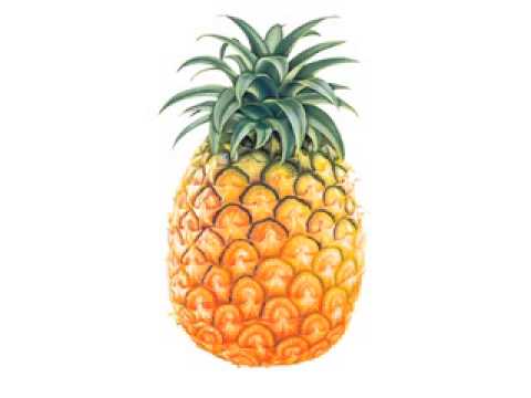 Pineapple Diet [Extended Version] - Skye Townsend